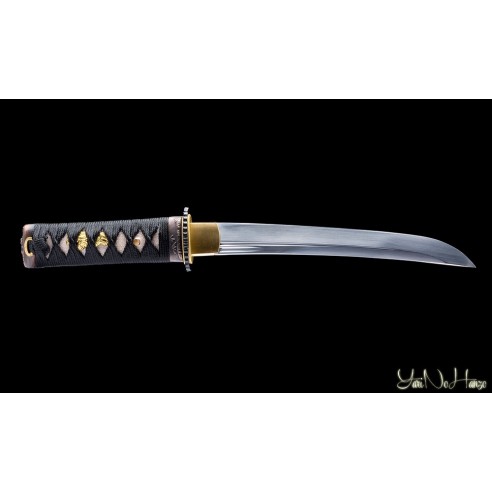 Kunishi Tanto