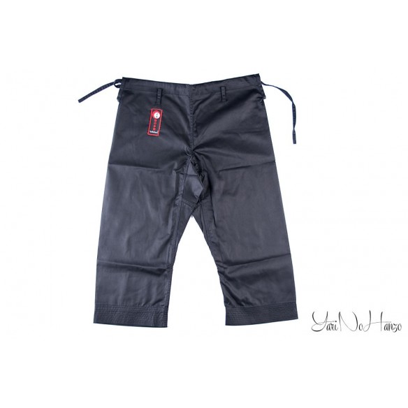 Ninjutsu Gi Natsu 2.0