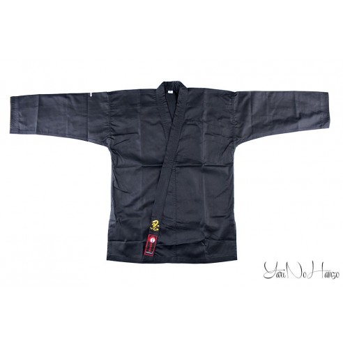 Ninjutsu Gi Natsu 2.0