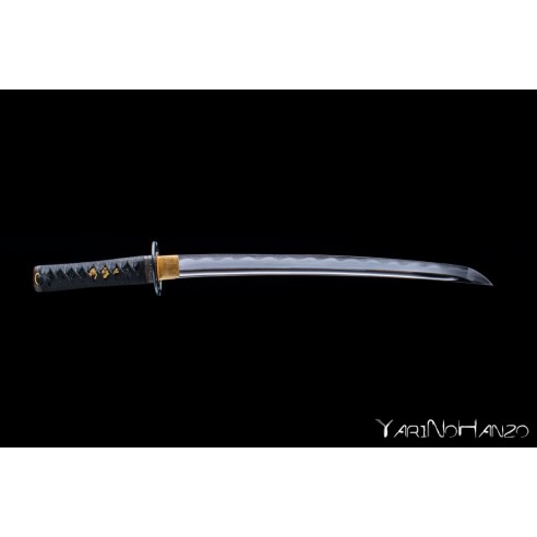 Aikizuki Wakizashi