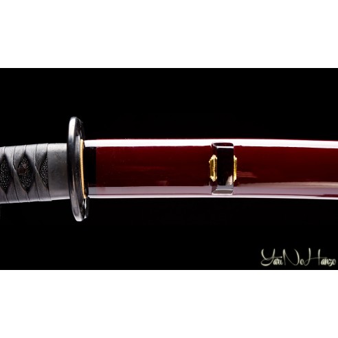 Miyamoto Musashi Iaito 11th Anniversary