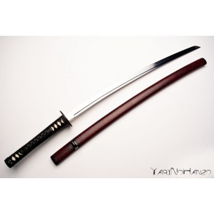 Amakusa Katana Limited... 2