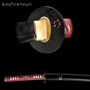 TAKEMATA KATANA LIMITED... 2