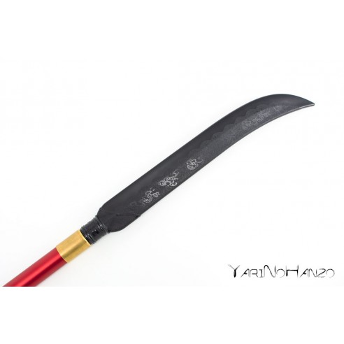 NAGINATA IN PLASTICA CON ASTA IN...