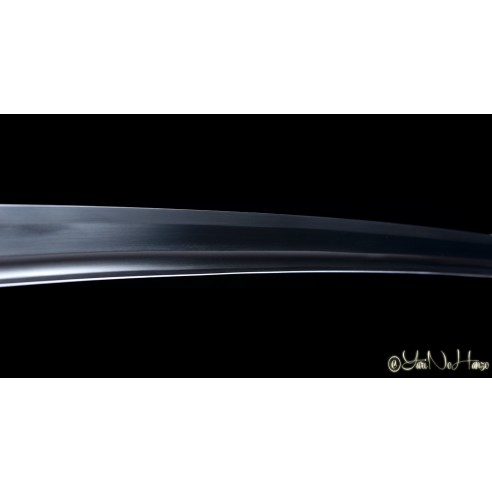 Musashi Silver Edition | Katana...
