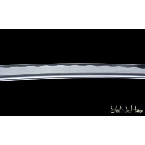 Niiro Katana Iaito