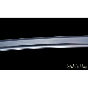 Ishiki Katana 2