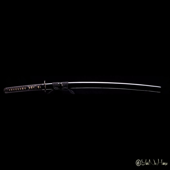 Performance Iaido Set | Iaito Non Affilato, Bokken e Completo