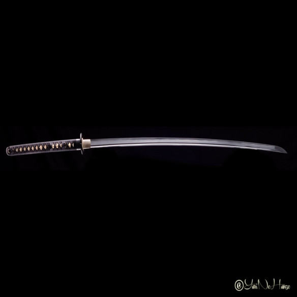 Performance Iaido Set | Iaito Non Affilato, Bokken e Completo