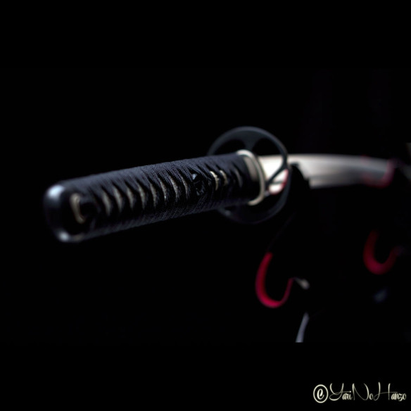 Performance Iaido Set | Iaito Non Affilato, Bokken e Completo