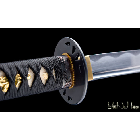 Asakura Daishō Iaito | Katana e...