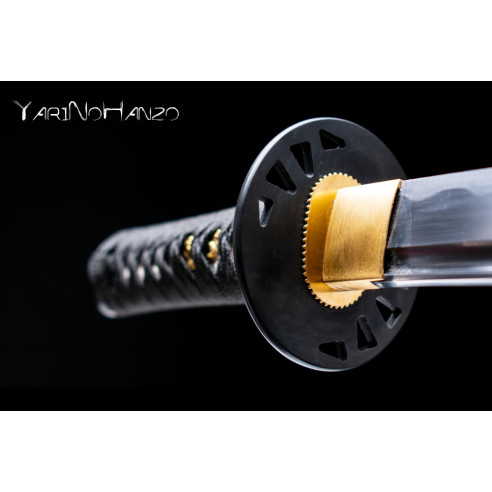Asakura Daishō Iaito | Katana e...