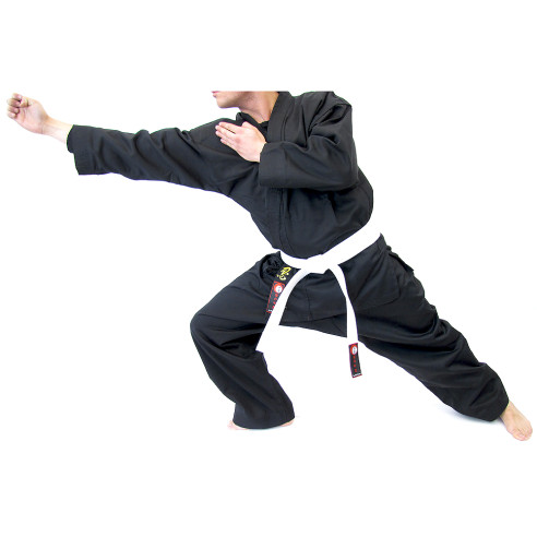 Ninjutsu Gi Natsu 2.0